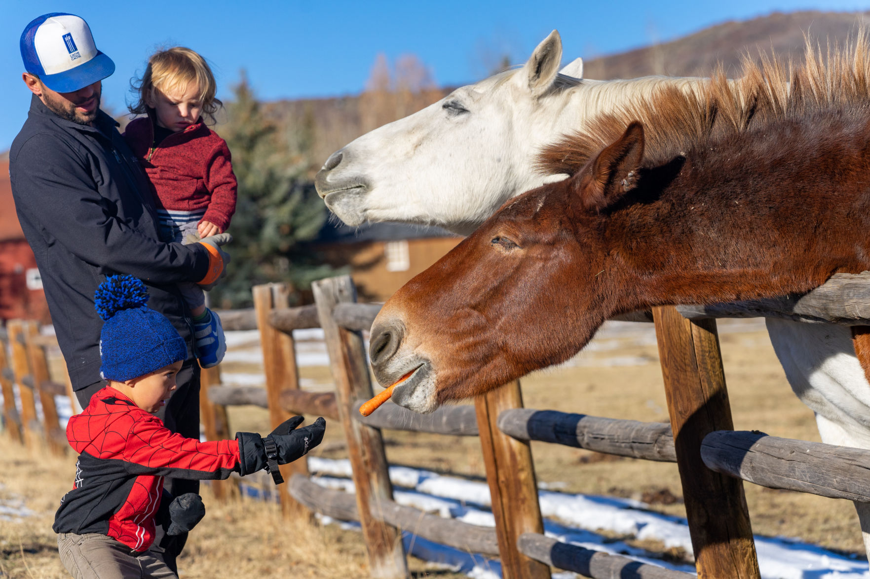 Horsing around